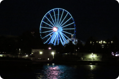 Teal Lights Cruise - Teal Ferris Wheel